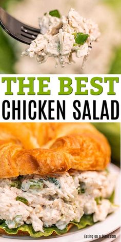 the best chicken salad is made with croissants and lettuce