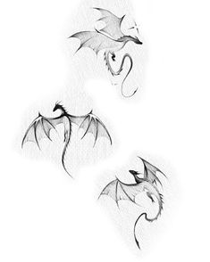 three drawings of dragon wings flying in the air