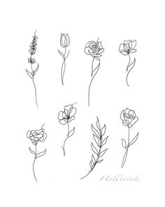 six different types of flowers drawn by hand