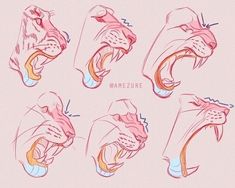 an animal's mouth is shown with different angles and shapes to make it look like its