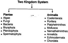 two kingdom system labeled in black and white