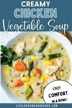 Cozy up this winter with creamy Chicken Vegetable Soup! 🥣 Packed with chicken & veggies, it’s comfort food at its best. Save this recipe for chilly nights!