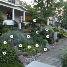 a house with many plants and numbers on the front yard, as well as steps leading up to it