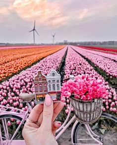 a person holding up a small house in front of a field with flowers and a bike