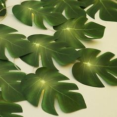 some green leaves are laying on the table