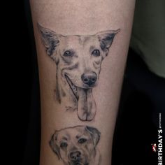 a dog with its tongue hanging out and another dog's face on the leg