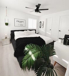 a black and white bedroom with palm tree in the foreground, bed on far side