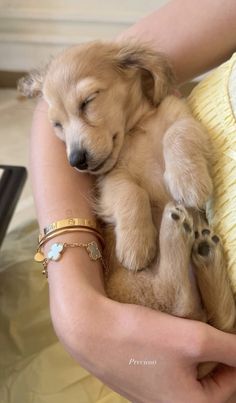 a person holding a small puppy in their arms and wearing bracelets on it's wrist