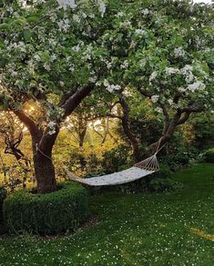 a hammock hanging between two trees in a yard with white flowers on it