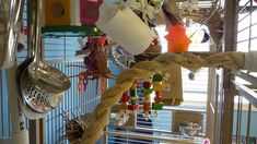 a bird cage filled with lots of colorful items