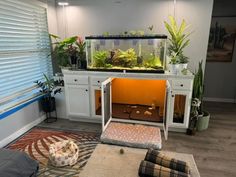 a fish tank in the corner of a living room filled with plants and other things