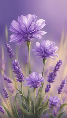 purple flowers are in the foreground with lavenders in the backgrounnd