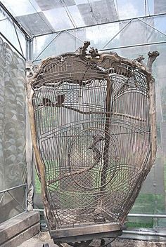 an old bird cage sitting inside of a glass house