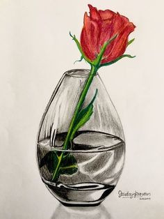 a drawing of a single red rose in a glass vase with water and sand inside