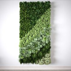 an artificial green wall with plants growing in the center and below it is a white background