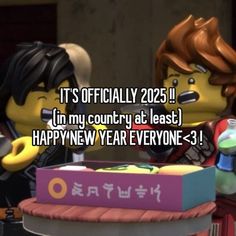 two legos are standing next to each other with the caption it's officially 2051 i'm my country at least happy new year everyone - 3