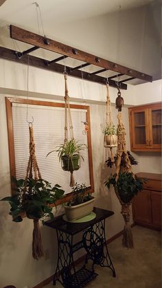 some plants hanging from the ceiling in a room