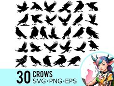 the silhouettes of birds are shown in black and white, with text that reads 30 crows