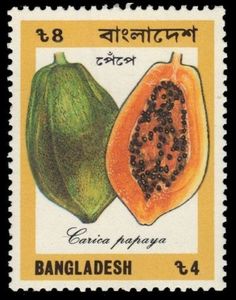 Postage Stamp, Papaya, Internet, Energy, Tumblr, Memes