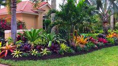 tropical garden with palm trees and flowers in front of a house