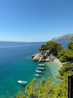 boats are parked on the beach near some trees