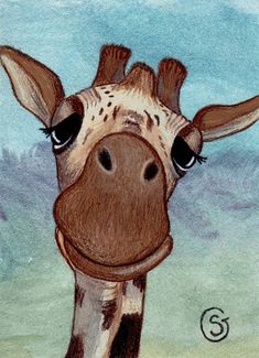 a drawing of a giraffe looking at the camera