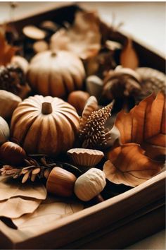 a wooden tray filled with lots of different types of pumpkins and acorns