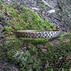 a dog collar sitting on top of a grass covered hill next to a rock wall