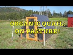 an outdoor chicken coop with the words organic quail on it's front and side