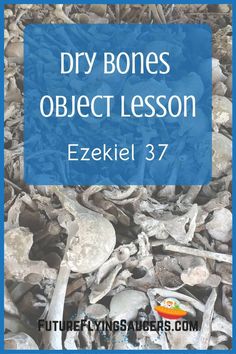 a pile of bones with the text dry bones object lesson ezekiel 3 7