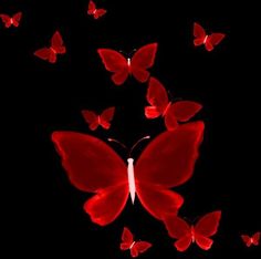 a group of red butterflies flying through the air