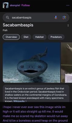 the screenshot shows an image of a fish and it's captioning