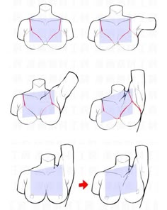 how to draw the upper half of a woman's breast and chest, with different angles