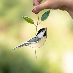 a hand is holding a small bird on a twig that has leaves attached to it