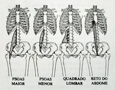 an image of the human skeleton with different bones and their corresponding parts labeled in spanish