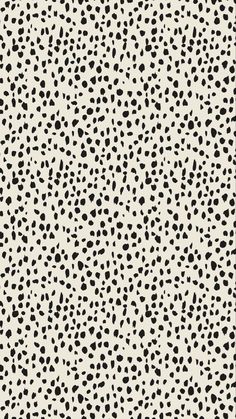 a black and white animal print pattern with spots on the surface, as well as dots