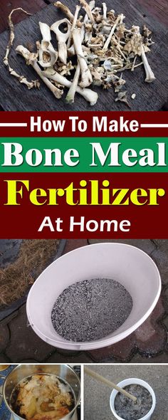 how to make bone meal fertilizer at home