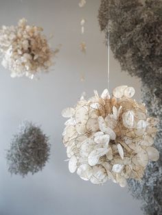 some white flowers hanging from the ceiling in a room with grey walls and gray flooring