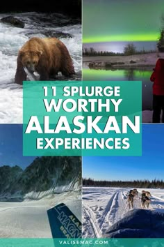 the alaskan experience is one of the best things to see in this region and it's unique