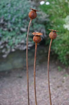 three rusted metal flowers in front of some bushes