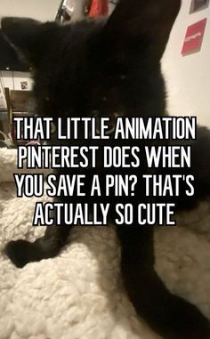 a black cat laying on top of a bed with the caption that little animation pinterest does when you save a pin? that's actually so cute