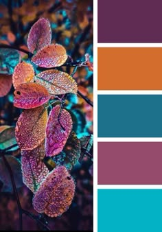 the color scheme is blue, orange and purple with leaves on it in different shades