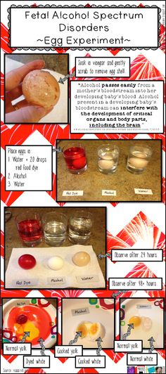 the instructions for making an egg experiment with eggs and other things to make them look like they