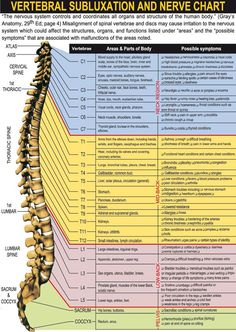 Chiropractic Care for the Entire Family..Including Children  Infants -- Moms Bookshelf  More: Chakra Health