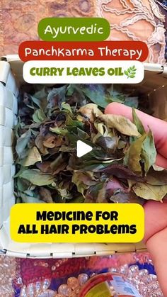 Glow Up With Archna on Instagram: "Homemade Kerala Special Ayurvedic Curry Leaves Hair Oil बालों की सभी समस्याओं का घरेलू उपाय #reels #Hair #longhair #thick hair #keralahairoil #Ayurvedic #reelsinsta #reelsfb #trending #GlowUpWithArchna" Kerala Special, Ayurvedic Hair Oil, Ayurvedic Oil, Ayurvedic Hair, Hair Problems, Curry Leaves, Thick Hair, Hair Oil