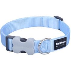 a light blue dog collar with a bone on the front and an oval metal buckle