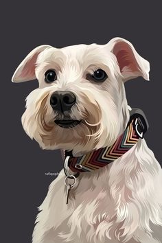 a white dog is wearing a collar