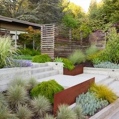 an outdoor garden with various types of plants and flowers in the foreground, along with concrete steps leading up to a building