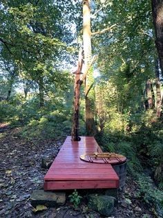 a wooden deck in the middle of a forest