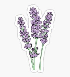 three lavender flowers sticker on a white background